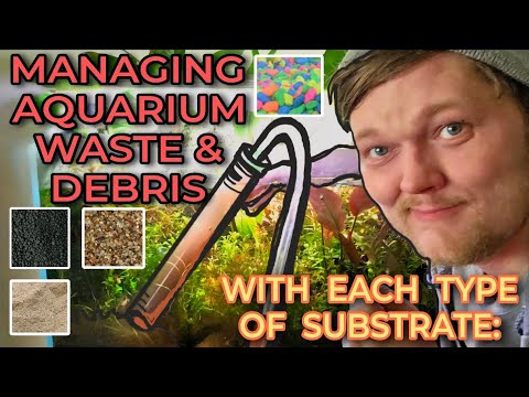 Mulm Managment_ How to Clean & Maintain  Different Mulm Managment_ How toAquarium Waste & Debris on Different Types of Substrate_ Gravel, Sand, Soil, D