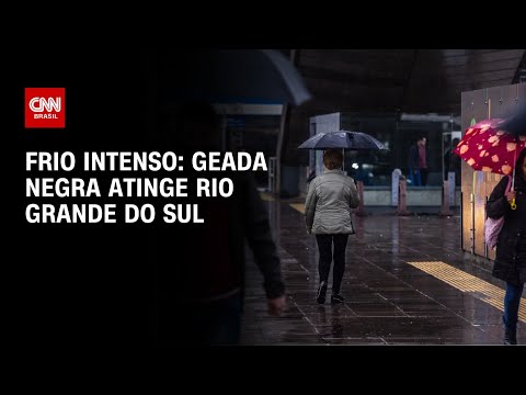 ​Geada negra: Entenda o que é fenômeno que atingiu cidade no Rio Grande do Sul | LIVE CNN