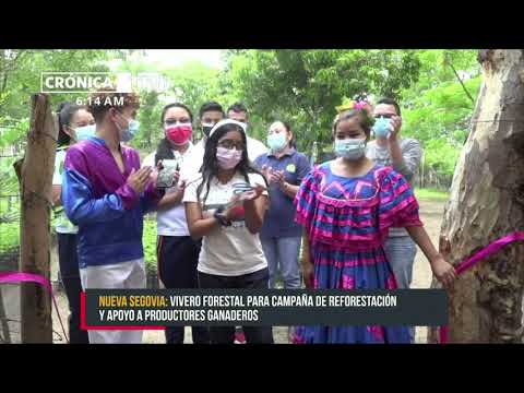 Vivero para campaña de reforestación y en apoyo a productores en Ocotal - Nicaragua