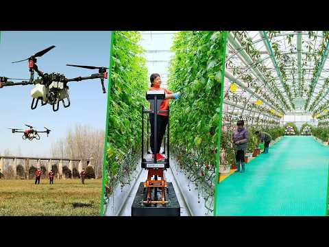 Smart machines power China's spring farming