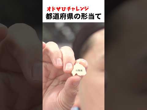 【オドぜひチャレンジ！都道府県の形当て】都道府県の形を触っただけで当てられる！？ #オドぜひチャレンジ #オードリー #オドぜひ #Shorts