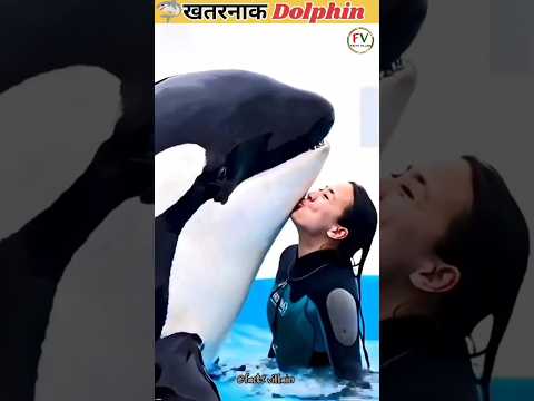 🦈 खतनाक Dolphin मालिक ko जान ले लगा hai || Jessica Dolphin #dolphin #jessica #trending #viral
