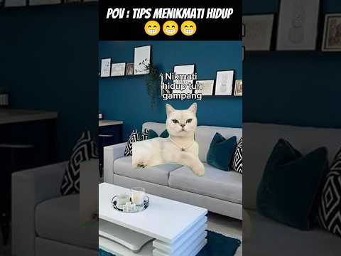 Pov : Cara Nikmati Hidup #meme #cat #kucing #animation #funny