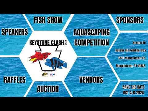 What Is Keystone Clash!? Are you ready for the Keystone Clash 2024? 
You'll be attending one of the largest all-species aquar