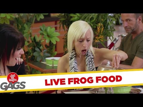 Live Frogs For Dinner