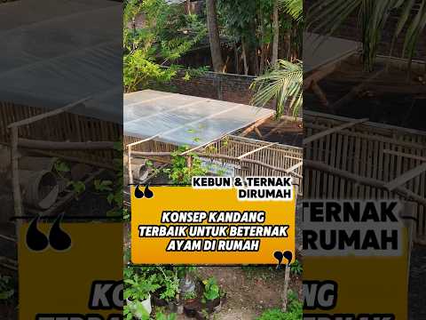 KANDANG AYAM TERBAIK