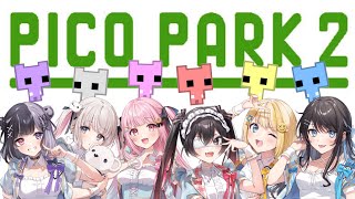 【生放送】メンバーみんなで PICOPARK2に挑戦だ！✨【ぱすはに】