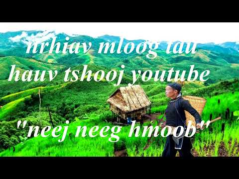 Ua neej li puav dai taw ntu 2