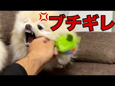 【ブチギレ】さすがにこれは誰でも怒ります！