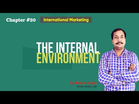 Internal Environment - International Marketing-Bishal Singh