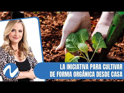 Huerto Land da la iniciativa para cultivar de forma orgánica desde casa | Nuria Piera