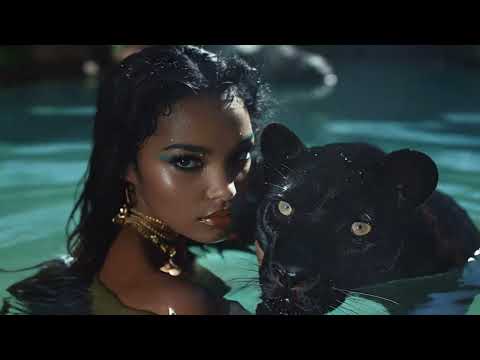 TOMMO TEAM - PLEASE DON'T GO (official video)