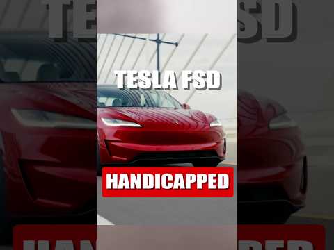 Tesla FSD latest fan test is... ironically hilarious!