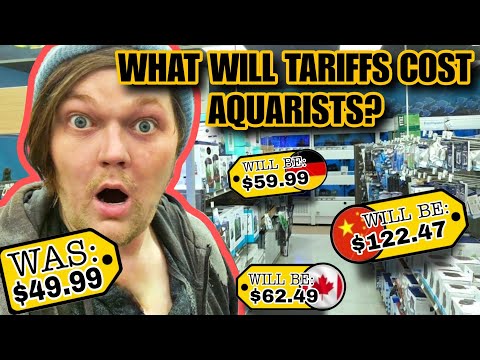 Would You Pay $339.99 for a 40g Aquarium?  How New In April of 2025, I Found Aquarium Items from Over 37 Countries at ONE Petco store! How 2025 Tariffs