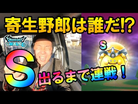 ドラクエウォーク510【寄生野郎は誰だ！？早朝からゴールデンスライムＳが出るまで連戦する男たち】