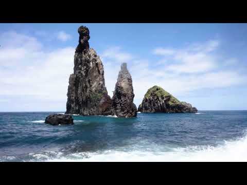 Travel Vlog * Madeira, Portugal [shot on Sony a7iii]