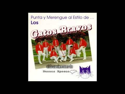 EL CHOFER -- LOS GATOS BRAVOS