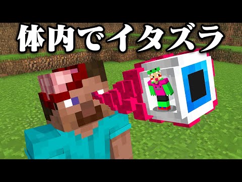 友達の体内に入ってイタズラしてみたw【まいくら・マインクラフト】