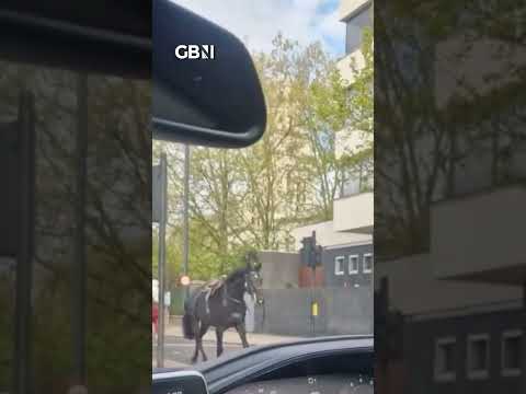 Blood-covered horses BOLT through London leaving FIVE INJURED #uknews #horses #gbnews
