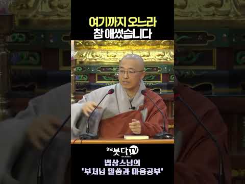 추석 연휴, 여기까지 버텨내느라 참 애썼습니다 💧 (지친 당신을 울린 부처님의 위로)  #법상스님 #불성 #<strong>마음공부</strong> #견성 #인생지혜 #불교명상