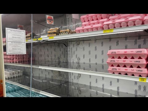 US egg shortage sees shelves empty and prices soar | AFP