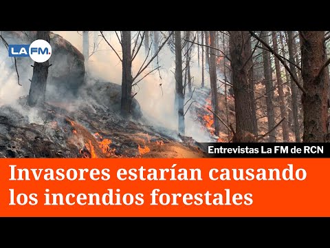 Gestión del Riesgo: Invasores de terrenos estarían causando los incendios forestales