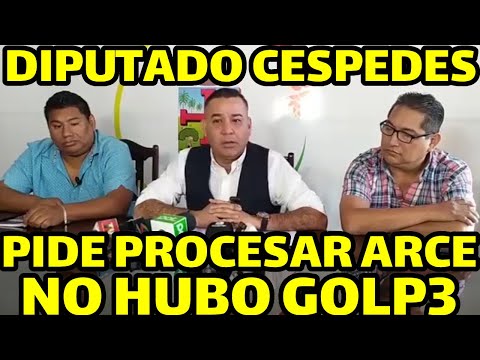 DIPUTADO ANYELO CESPEDES DICE NO HUBO GOLP3 ESTADO LO QUE HUBO ES PAYAS4DA EN BOLIVIA