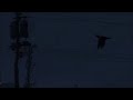 Launch Mini Player