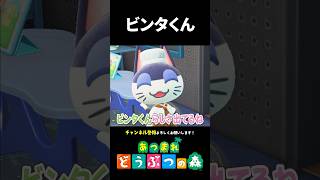 【あつ森】ビンタくんらしさが溢れてる別荘がおしゃれすぎる