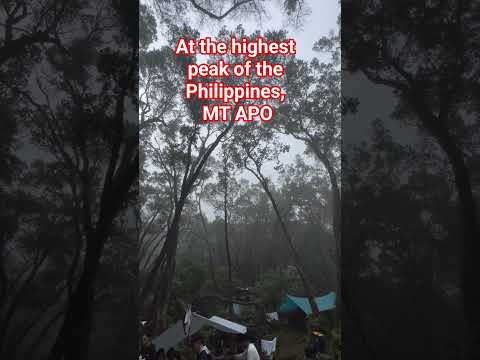 MT APO, THE HIGHEST PEAK OF THE PHILIPPINES #PHILIPPINES #mtapo