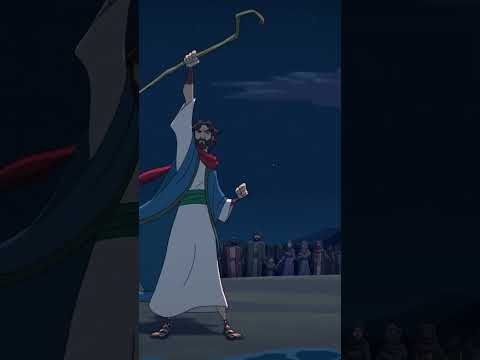 Já Assistiram hoje? Já Assistiram hoje?