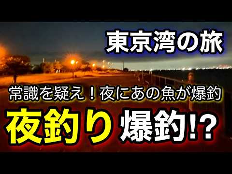 【真夏のこの釣りは快適】知らなかった！あの魚が夜釣りで爆釣！2025.7