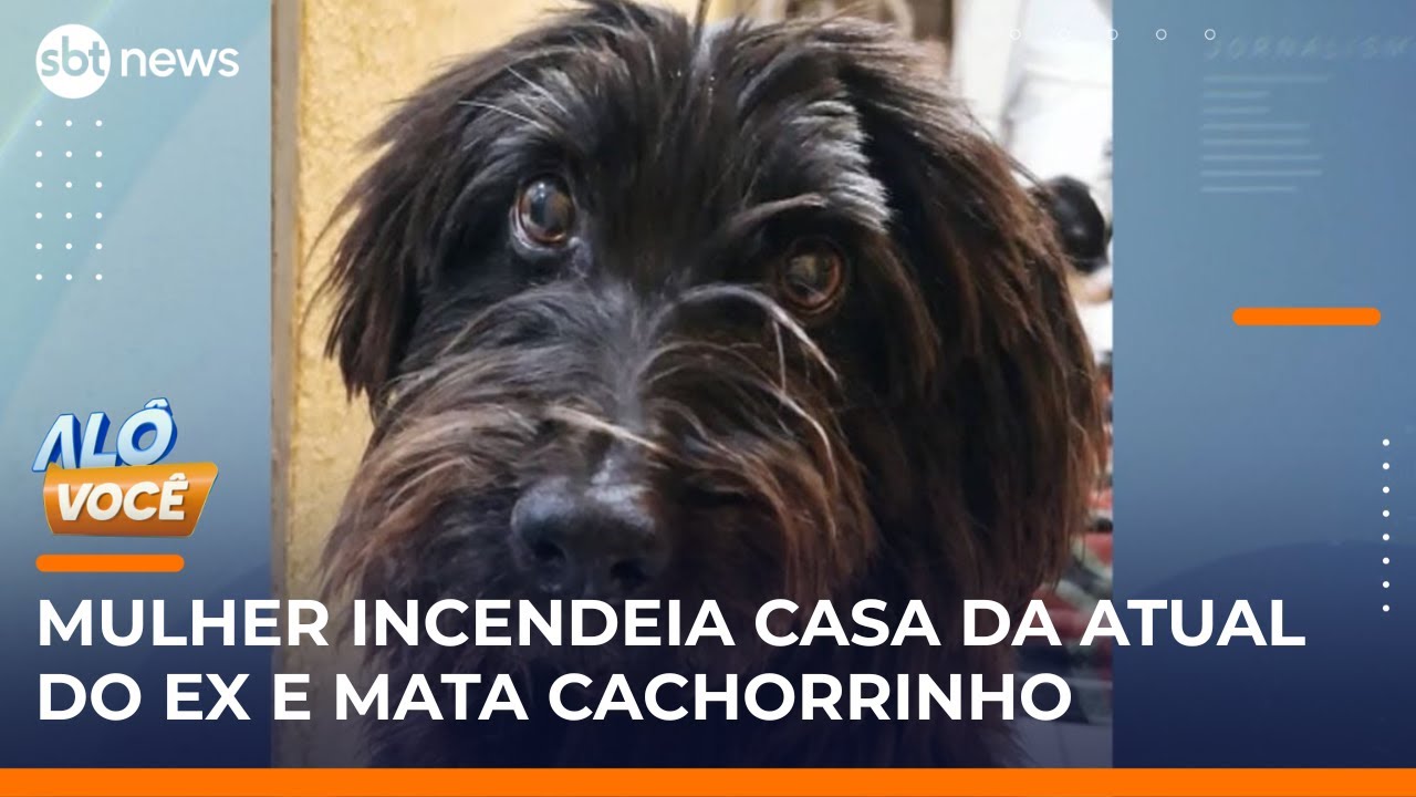 Por ciúme mulher incendeia casa da atual do ex marido em São Paulo | AlôVocê