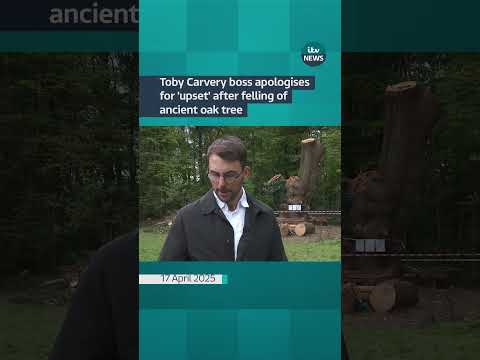 Toby Carvery boss apologises for 'upset' after felling of ancient oak tree | ITV News