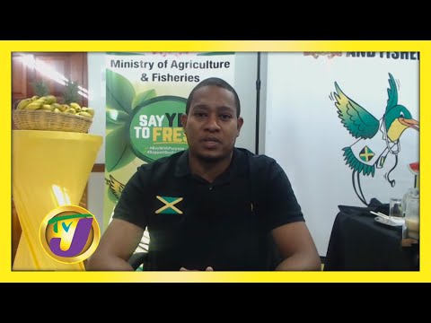 Food Shortage Looming TVJ Smile Jamaica - November 25 2020