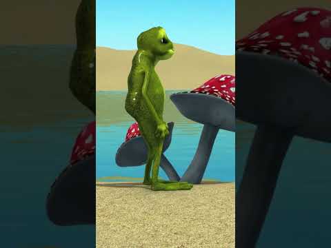 Funny Frog & The Girl’s Shoes 🐸👠💦 | Animation Dance Song