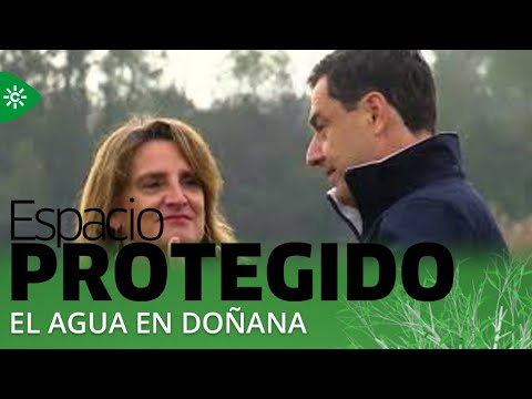 Espacio Protegido | El acuerdo sobre el agua en Doñana comienza a materializarse