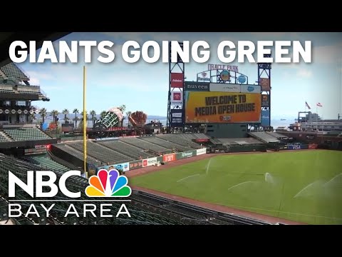 SF Giants continue steadfast sustainability campaign