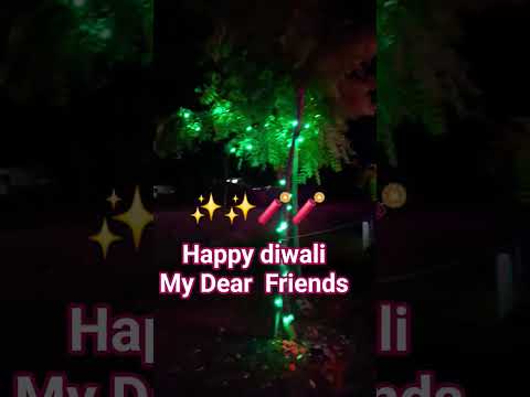 Happy Diwali ✨️ 🧨 😊 #mini #video