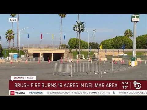 Del Mar Fairgrounds set up as evacuation point