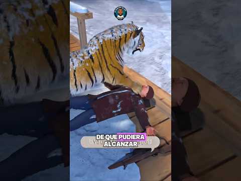 El tigre que no se fue… lo esperó 🐅⚠️#reels #shorts