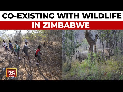 Zimbabwe Climate: School Children Facing Wildlife Threats Learning How To Spot Danger