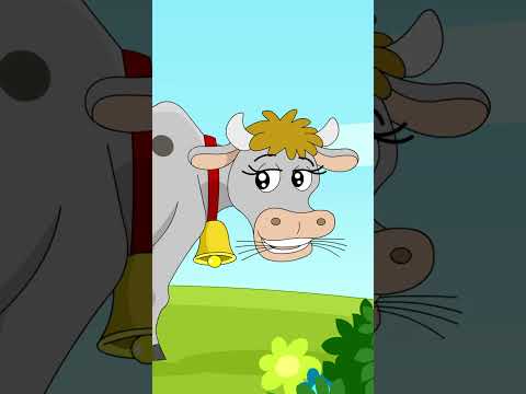 Minidisco | Kinderliedjes