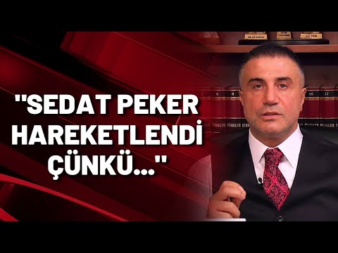 Timur Soykan: Sedat Peker emin adımlarla Saray'a yaklaşıyor...