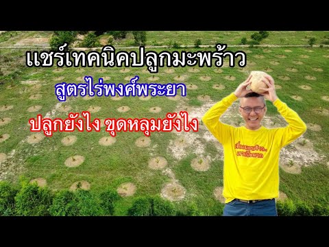 EP:47ระยะห่างในการปลูกมะพร้าว