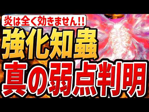 【エルデンリング ナイトレイン】強化グノスターの「真の弱点」が判明しました！！！【解説・攻略・検証・小ネタ】
