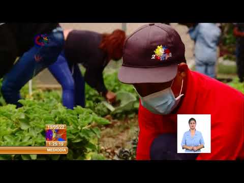 Venezuela-Cuba: Celebran aniversario 19 de colaboración agroalimentaria