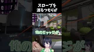 この後、敵の死体から武器回収しました【VALORANT】 #新人vtuber #shorts #short #ヴァロラント  #valora