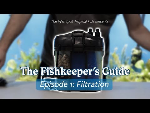 AQUARIUM FILTRATION - The Fishkeeper's Guide #1 Welcome back to The Fishkeeper's Guide, a brand-new series where we walk you through the most import