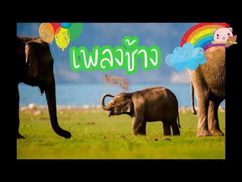 เพลงช้าง เพลงช้าง